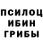 Псилоцибиновые грибы Psilocybe Rubayye Abilova