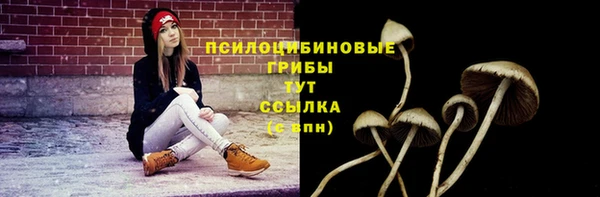 соль ск Армянск