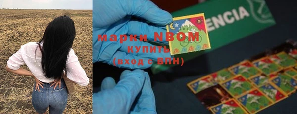 Альфа ПВП Арсеньев