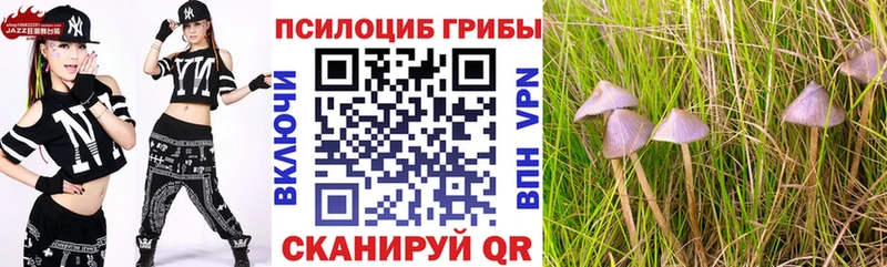 Псилоцибиновые грибы MAGIC MUSHROOMS Аткарск